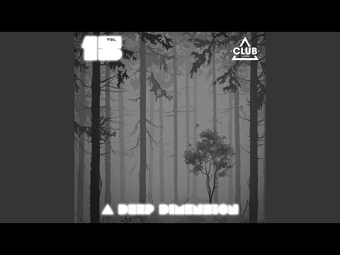 Flight Fear (Asadinho Remix)