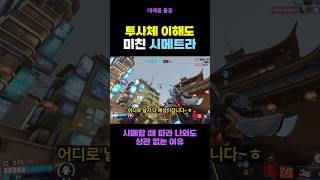 시메트라로 파라 잡기 삽가능