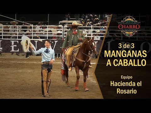 GREAT! 3 of 3 Horseback Riding Manganas - MARTIN PEREA MIJARES Zacatecas Congress 2018