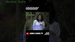 Download lagu Tangise Rondo Kembang #nikenarisandi #tangiserondokembang #anekasafaritv #shortvideo #music mp3 Download lagu Tangise Rondo Kembang #nikenarisandi #tangiserondokembang #anekasafaritv #shortvideo #music mp3