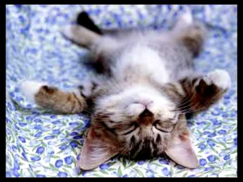 Janne Saar - Unelaul