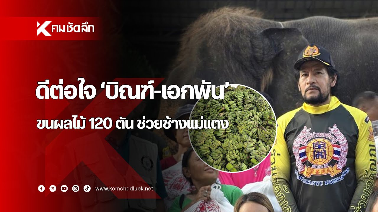 ดีต่อใจ 'บิณฑ์-เอกพัน' ขนผลไม้ 120 ตัน ช่วยช้างแม่แตง