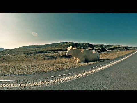 HEKTOR - NÁVRATY [Official Video] © 2017