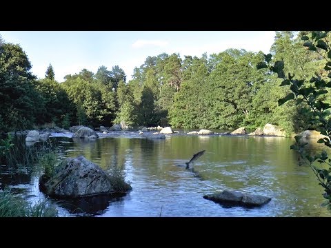 Kungsådran – an Exciting Part of Dalälven