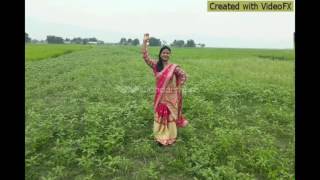 Download lagu Pasher barir kodom ali mp3