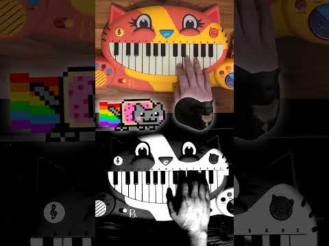 maxwell cat VS nyan cat (Cat Piano)