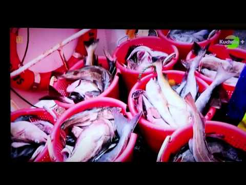Absurdalne przepisy Unii Europejskiej