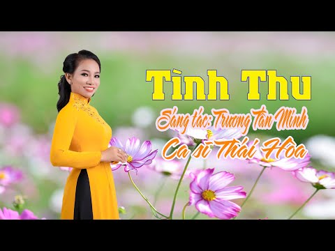 Tình thu Sheet - Thái Hoà