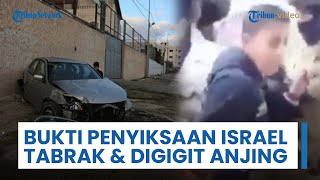 Update Konflik Timur Tengah - Penyiksaan Israel ke Anak Palestina Ditabrak hingga Digigit Anjing