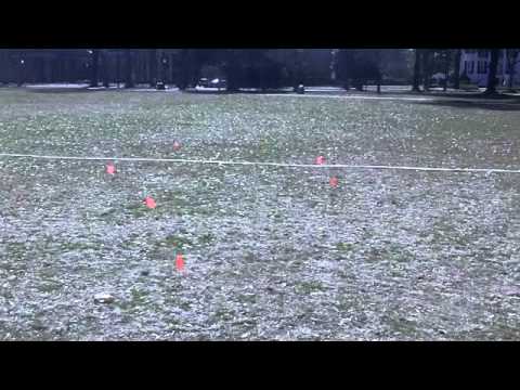 Women In Prison Awareness Week, Women's Resource Center UA