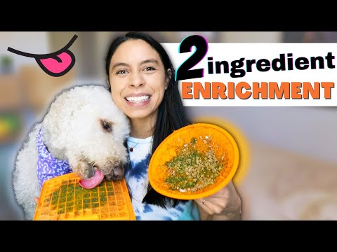 YouTube video about: What to put on lick mat for dogs?