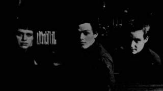 Ende Shneafliet  - Voices Of The Dead