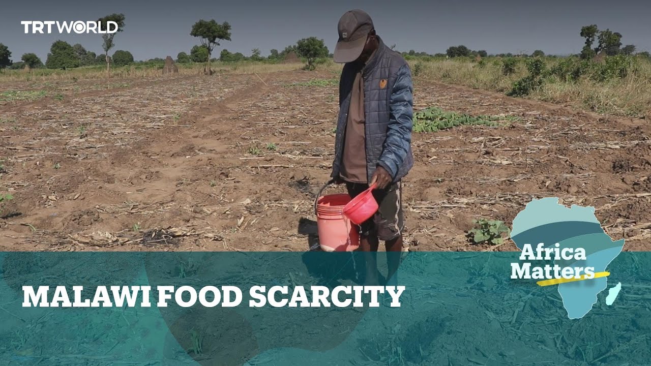 Africa Matters: Malawi faces dire hunger due to climate disasters