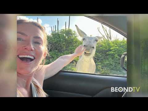 Uncovering the Wonders of Bonaire