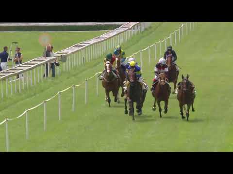 Frauenfeld/03.06.2018/Preis Galopp Schweiz