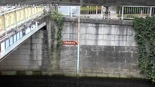 荏原調節池上流