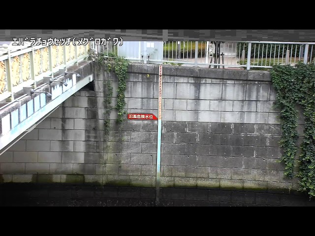 荏原調節池上流