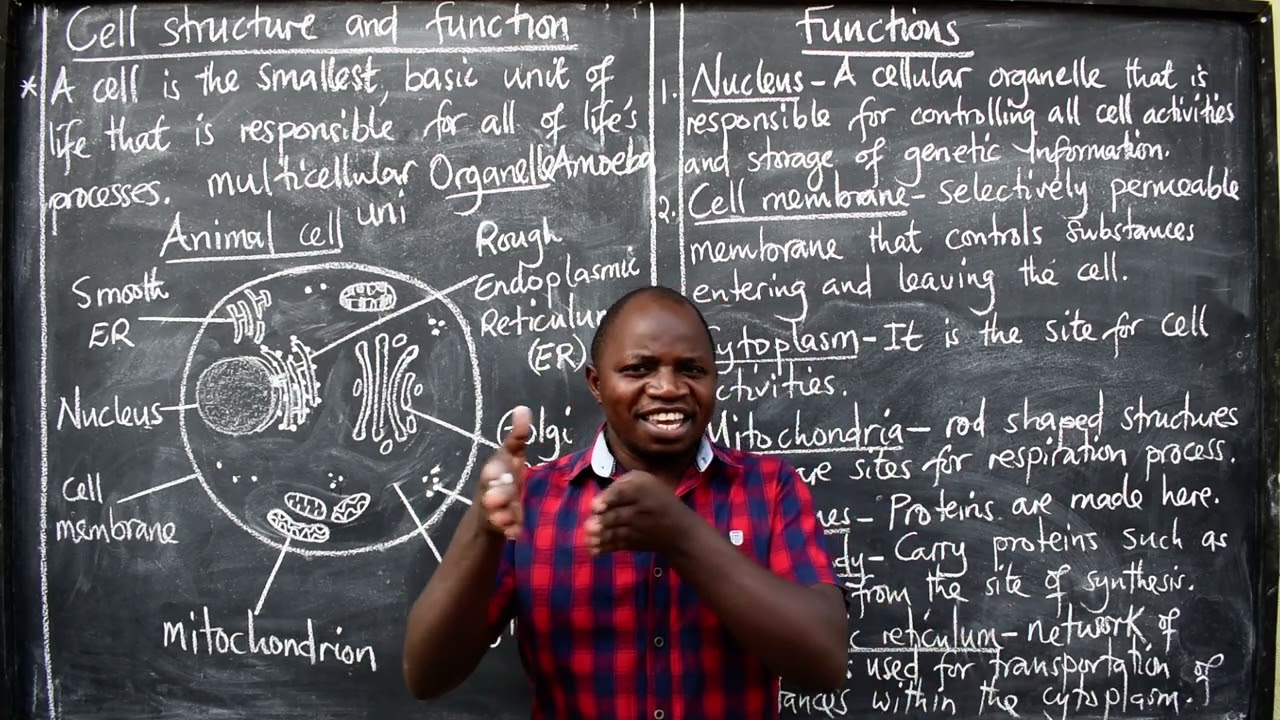 BIOLOGY  CELL STRUCTURE