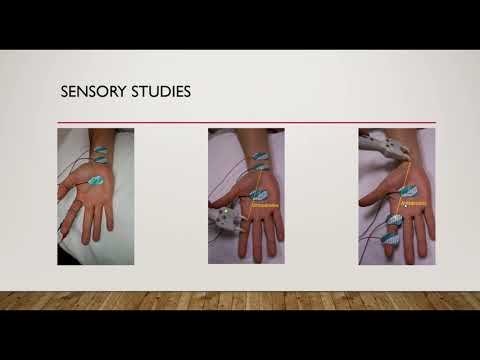 A basic intro to NCS/EMG for Neurologists - YouTube