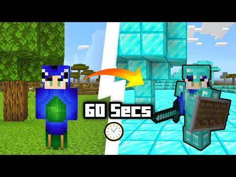 Ayush More - Minecraft, But the World Changes in Every 60 Seconds Challenge | In Hindi