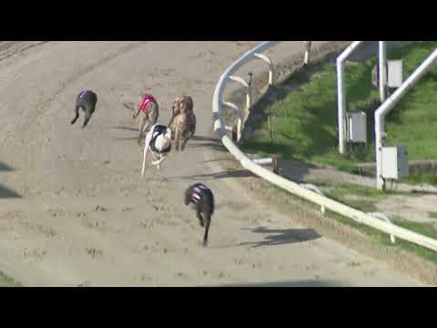 2021 SUSSEX CUP - HEAT 1 - T6 FREEKY PUMBAA