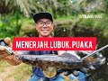 CASTING BUJUK PAYA HASIL BANYAK SAMPAI KENA KECAM PART I