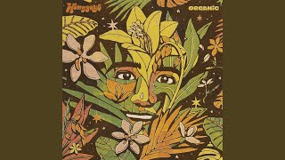 Download lagu Ig Human mp3