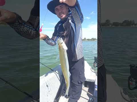 Laguna Don Tomas Santa Rosa La Pampa #pejerrey #pesca