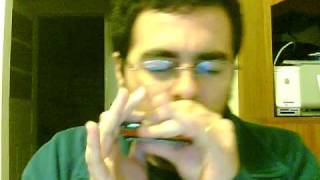 It's Not Easy (Big Walter Horton)