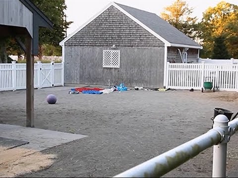 Cape Cod Incidents