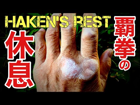 🔻【覇拳を癒す】🔺絶景！緑溢れる大自然！過酷な鍛錬から離れて、山あいの隠れカフェで至福のコーヒーをすする