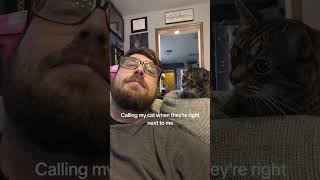 Kitten knows it’s name 😼 #cat #kitten #funny #funnycats #cute