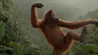 Download lagu New BUDOT dance 2021 [Monkey] mp3