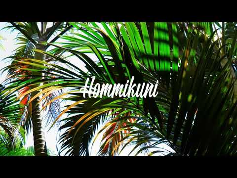 Loudi - Hommikuni