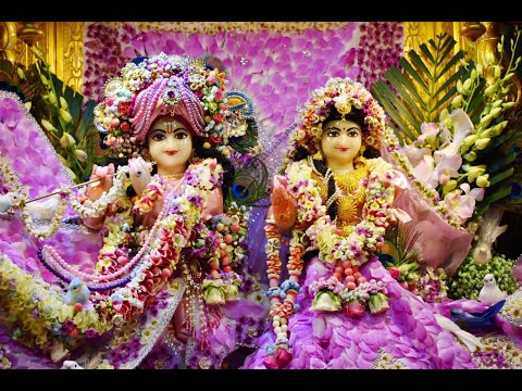 Sunday Feast Lecture | Sun, 23.02.20 | HG Prabhava Prabhu