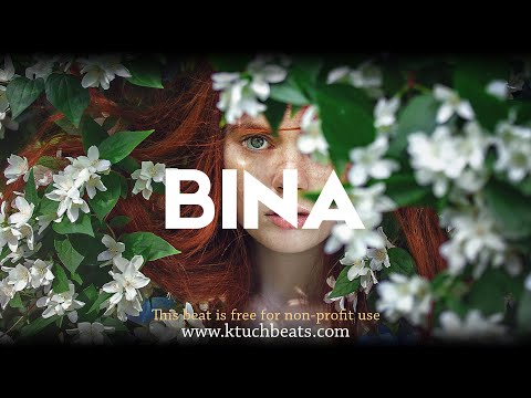 [FREE] FRANGLISH BINA  TYPE BEAT 2022 - "TIME OFF" afrobeat instrumental(Prod. @ktuchbeats)