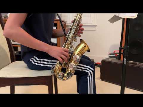 Vito (YAS-23) Alto - Ultrasonically Cleaned -Restored to Mint Playing Condition - See Video image 18