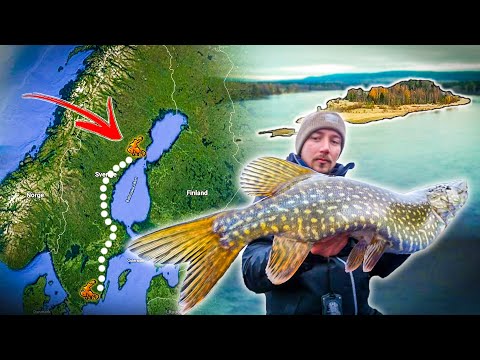 EXPLORING CLOSED SALMON RIVER FOR PIKE (Is There Pike?) | Team Galant