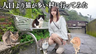 人口より猫が多い村に行ってみたら、想像以上に猫だらけすぎた...