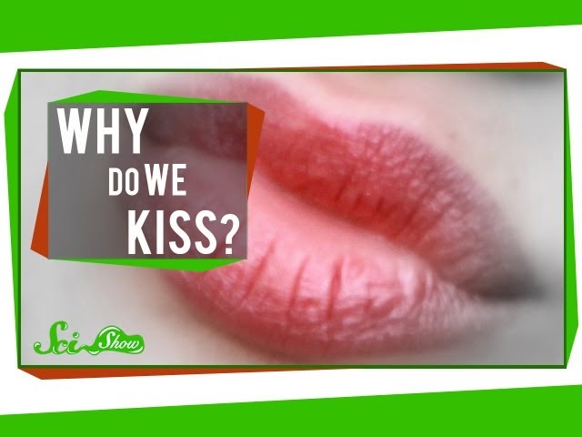 Video Pronunciation of philematology in English Video Pronunciation of philematology in English