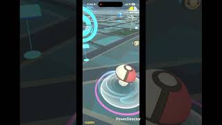 ミニタマゲダケ #pokemongo #pokemon #ポケgo #ポケモン
