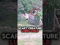 “Dad, Look at Carly!”… What He Saw Will HAUNT You Forever 😨👀 #shorts
