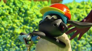 Timmy’s Big Wheel Adventure! | Timmy Time