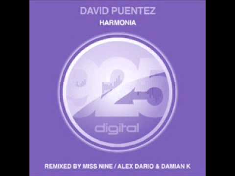 David Puentez vs. Tiësto - Love Comes Harmonia (Hardwell's 2011 vs. DJ Pepi Rework Mashup)