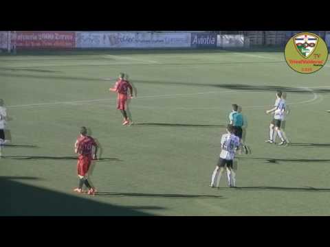 AT pinto - trivalValderas