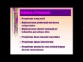 B 13 05 155 SISTEM RUJUKAN B 13 05 155 SISTEM RUJUKAN