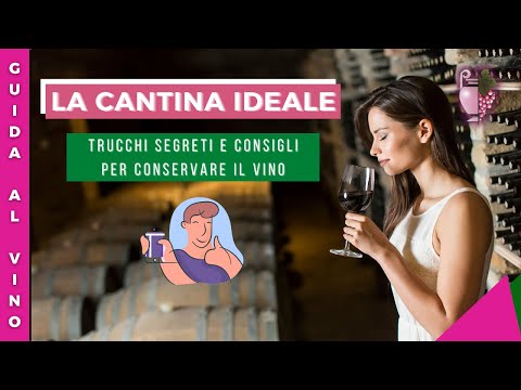 La cantina ideale | Guida al vino | Tutorial Vino Italiano