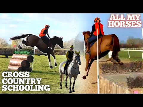 XC Schooling ALL of my Horses - Pre Event Prep - Barrowcliffe & Field Farm Cross Country Course