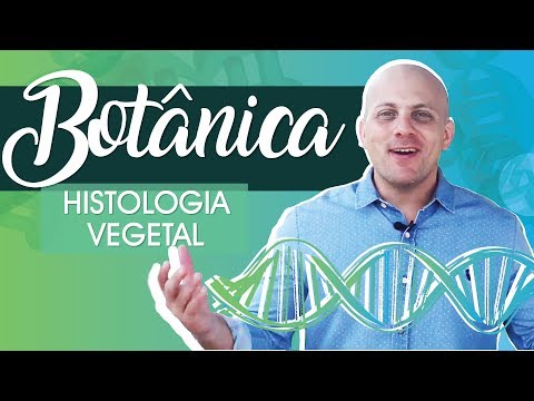 Botânica | HISTOLOGIA VEGETAL | AULA SOBRE OS PRINCIPAIS TECIDOS VEGETAIS E SUAS RESPECTIVAS FUNÇÕES
