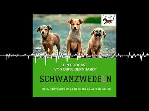 84 Dog Camper - Schwanzwedeln